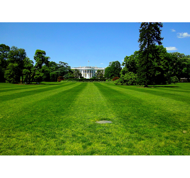 White House Landscape other wall mural city - TenStickers