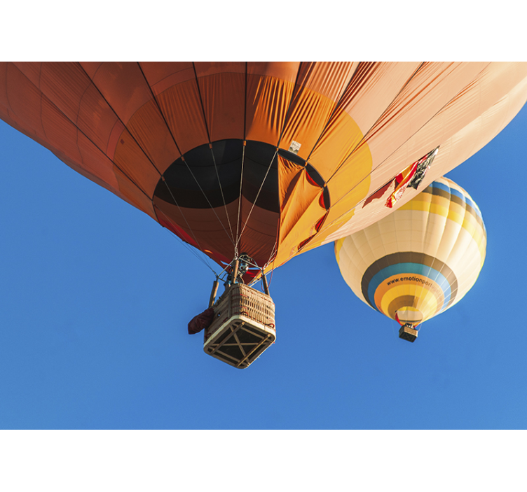 Automotive wall murals ballooning adventures - TenStickers