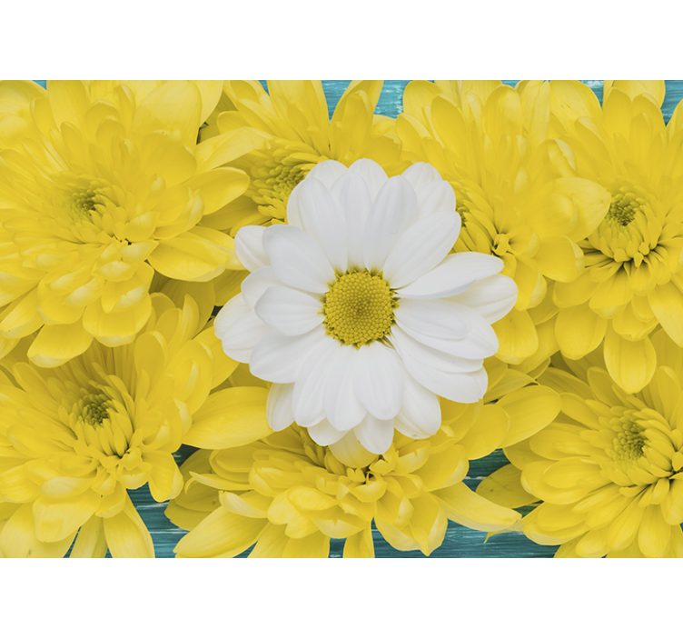 Flowers wall mural daisy blossom focus - TenStickers