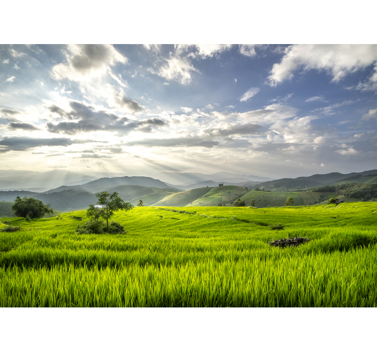 Serene Green Fields landscape wall mural - TenStickers