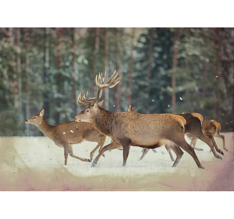 Majestic Deer Herd wall mural animals - TenStickers