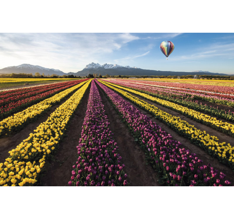 Colorful Tulip Fields flowers wall mural - TenStickers