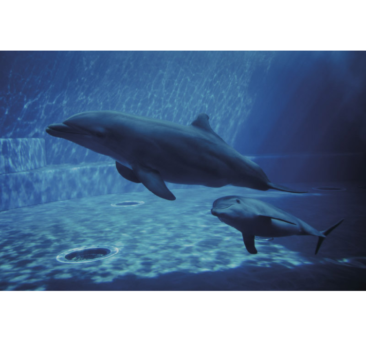 Dolphins Swimming Together wall mural animals - TenStickers