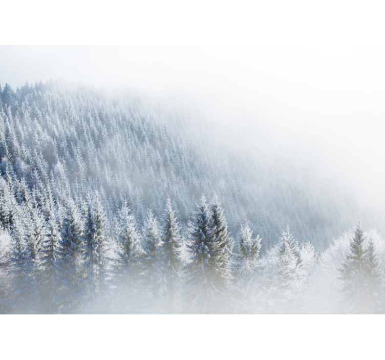 Majestic winter woods forest wall mural - TenStickers