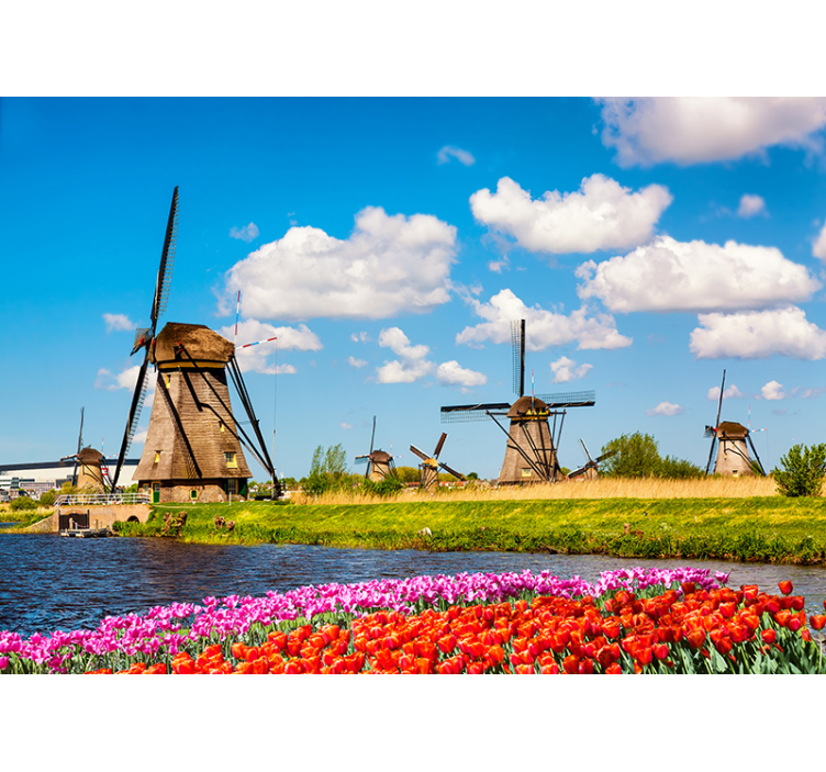 Windmills and Tulips wall mural city - TenStickers