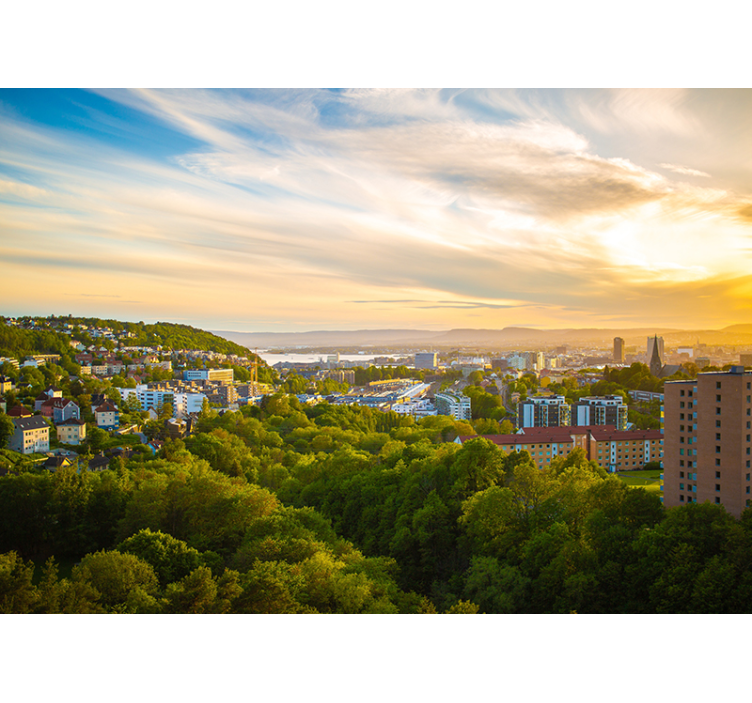 Urban Landscape View wall mural city - TenStickers