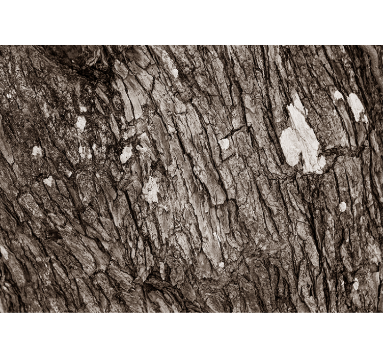 Other wall mural pattern textured tree bark - TenStickers