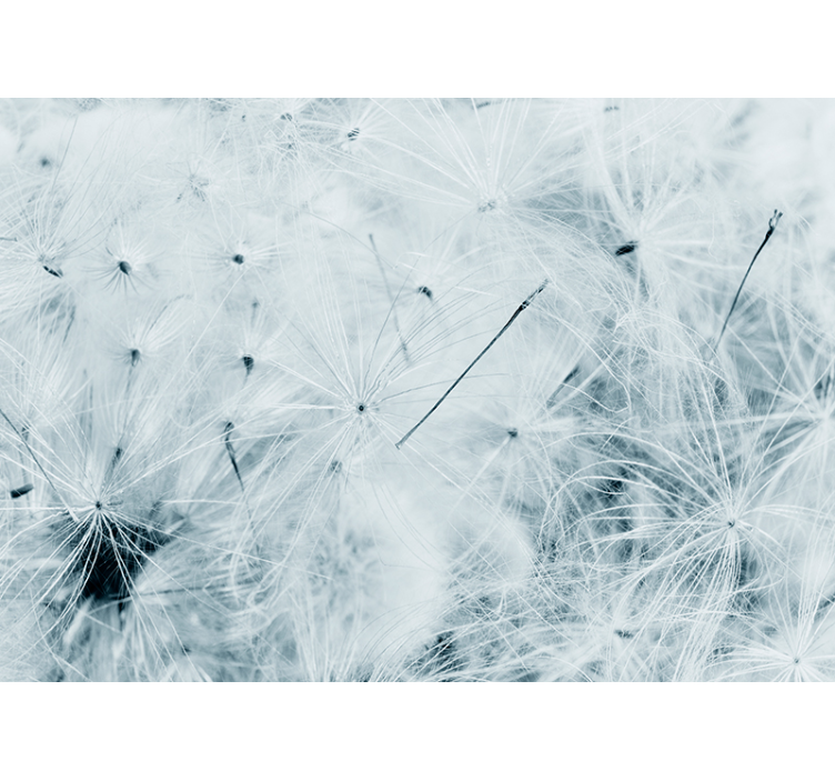 Flying dandelion wall mural - TenStickers