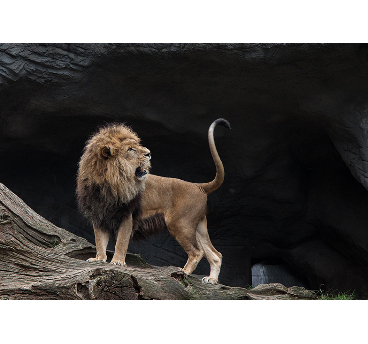 Wall mural lion majestic lion portrait - TenStickers