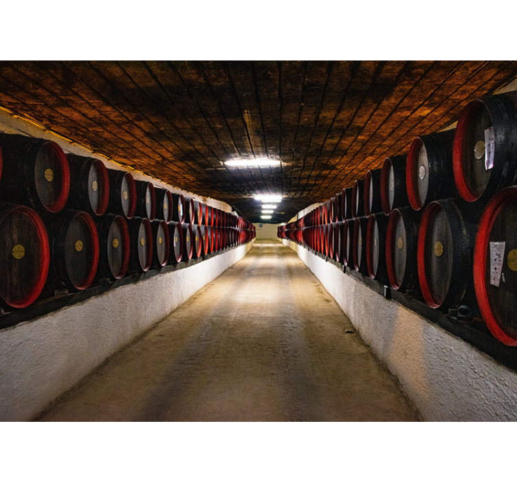Wall mural city wine barrel passage - TenStickers
