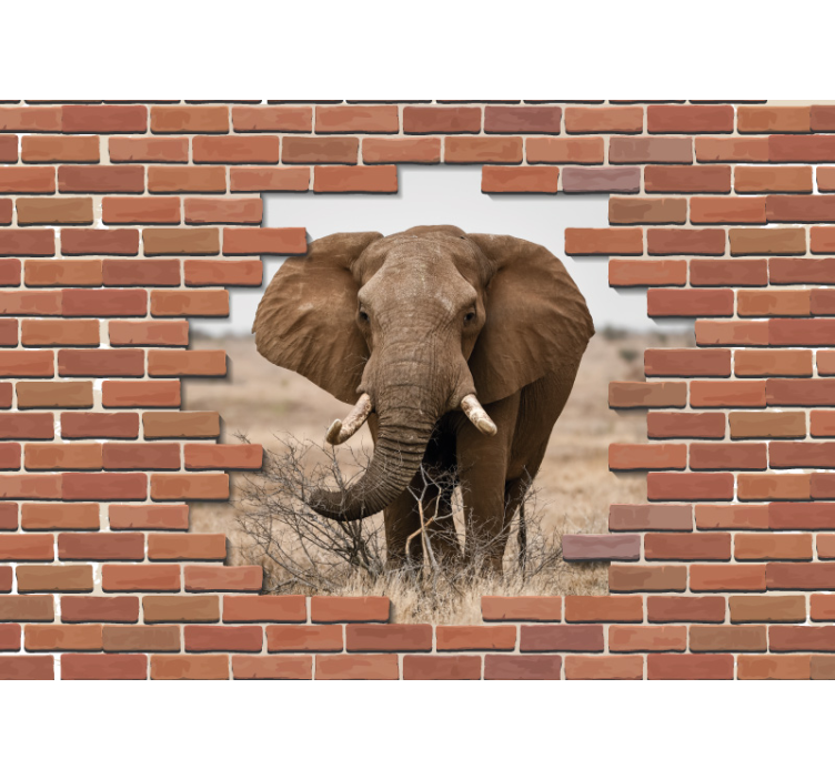 Majestic Elephant Focus wall mural animals - TenStickers
