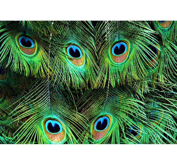 Wall mural animals peacock feather design - TenStickers