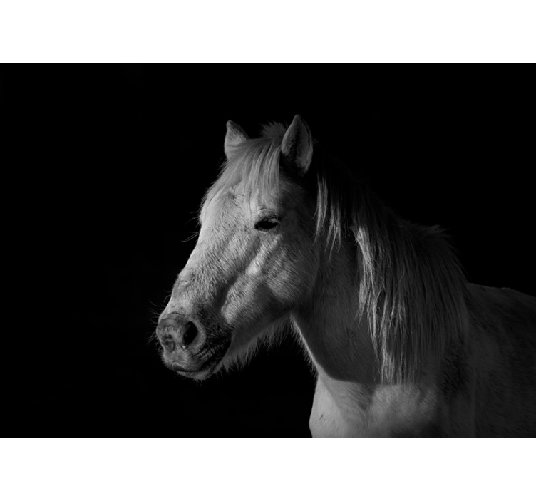 Majestic Horse Portrait wall mural animals - TenStickers