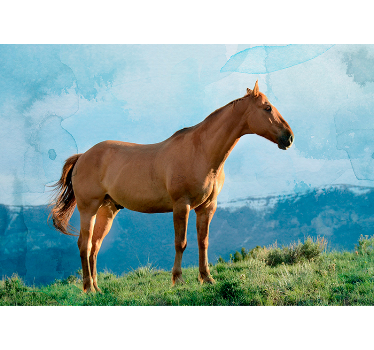 Majestic Horse Presence wall mural animals - TenStickers