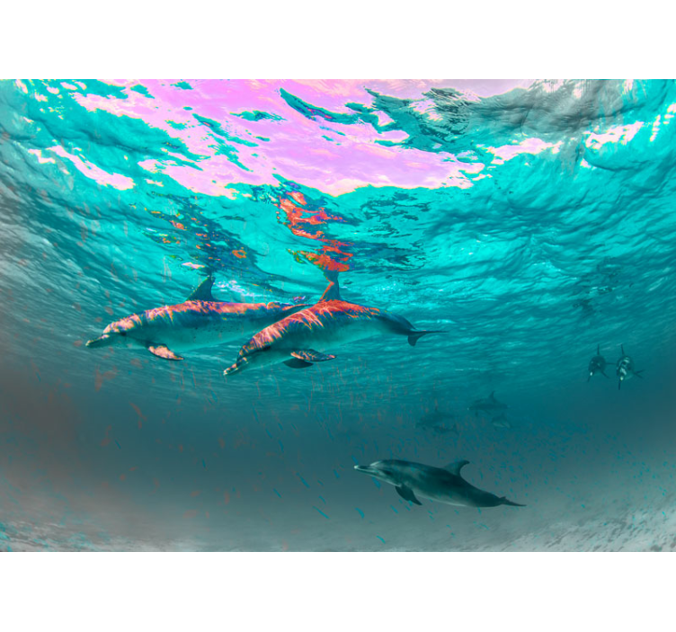 Wall mural animals dolphins swimming playfully - TenStickers