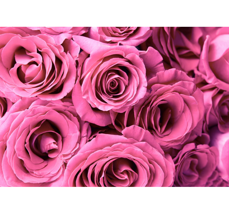 Pink blooms roses wall mural - TenStickers