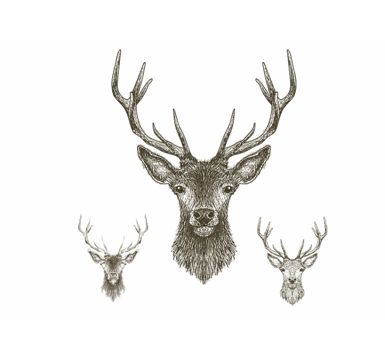 Wall mural animals stag head art - TenStickers