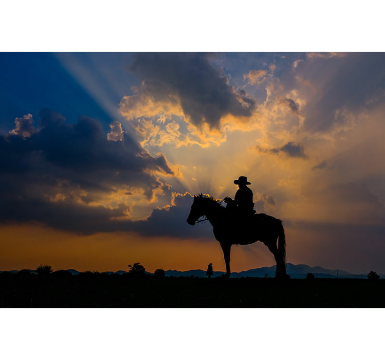 Wall mural animals rider on horse - TenStickers