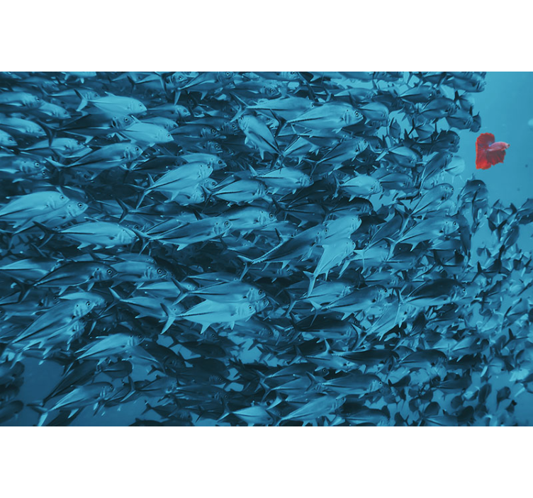 Wall mural animals underwater fish school - TenStickers