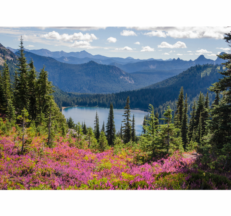 Picturesque mountain lake landscape wall mural - TenStickers