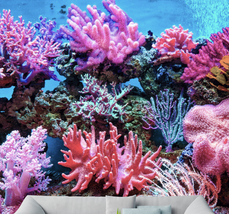 Aquatic Coral Scene sea wall mural - TenStickers