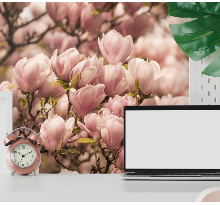 Blooming Magnolia flowers wall mural - TenStickers