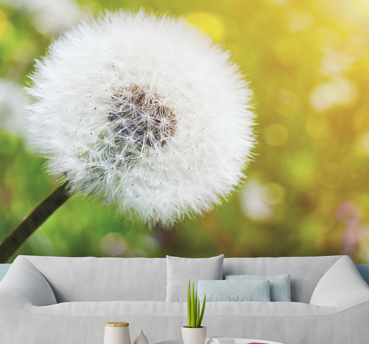 Dandelion seed head dandelion wall mural - TenStickers