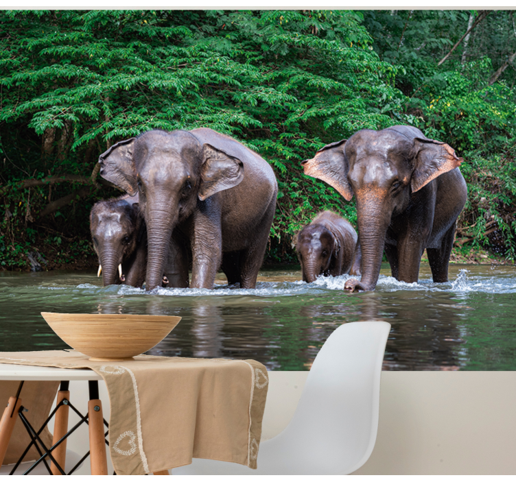 Elephants in Water wall mural animals - TenStickers