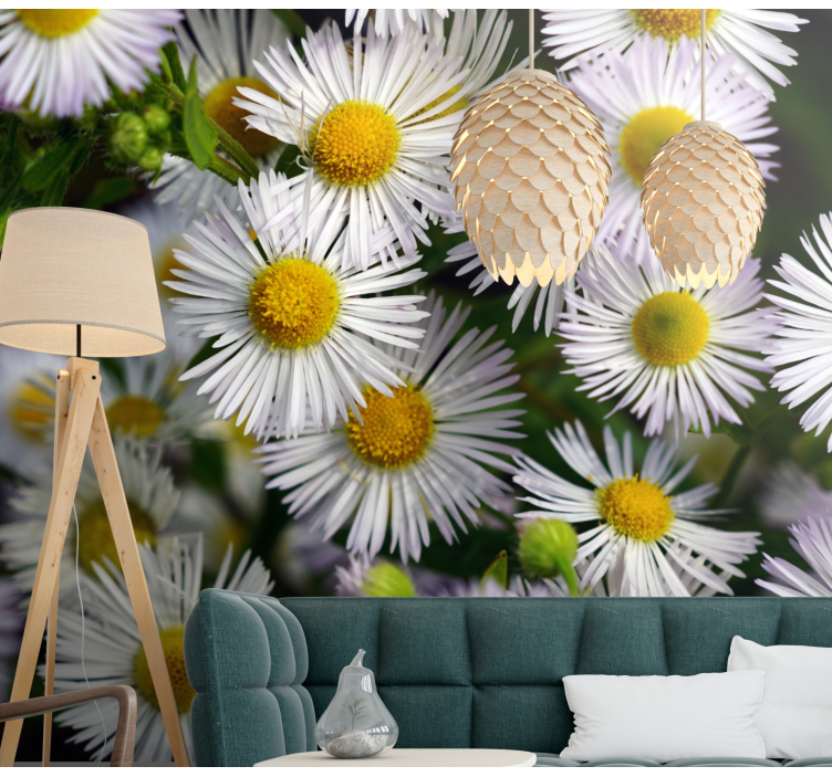 Flowers wall mural charming white daisies - TenStickers