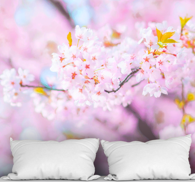 Flowers wall mural cherry blossom beauty - TenStickers