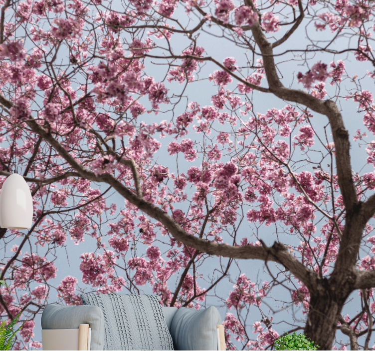 Flowers wall mural cherry blossom stem - TenStickers