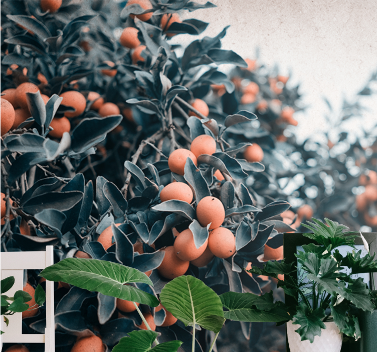 Flowers wall mural citrus fruit branch design - TenStickers