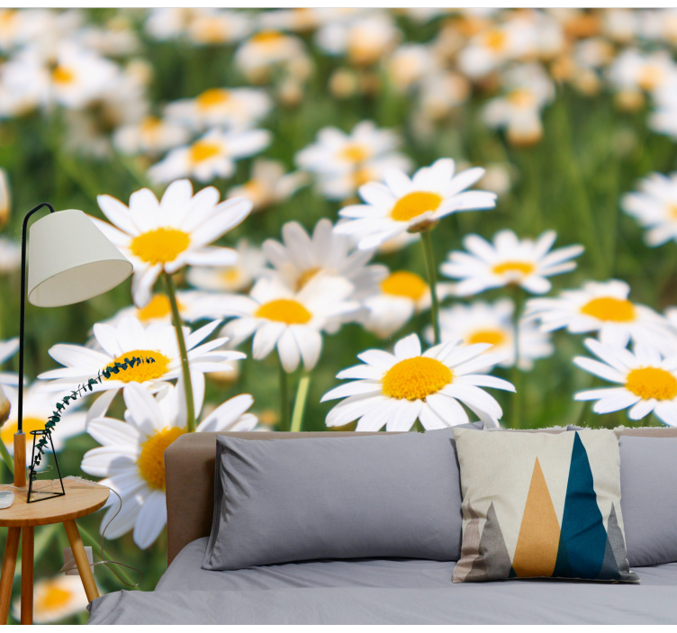 Flowers wall mural daisies blooming brightly - TenStickers
