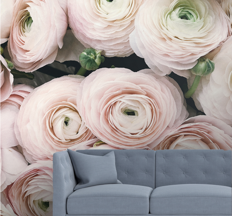 Flowers wall mural delicate ranunculus blooms - TenStickers