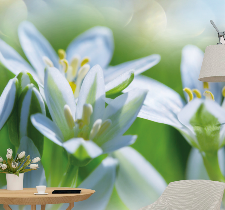 Flowers wall mural gentle white blossoms - TenStickers