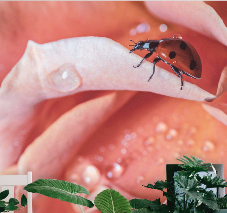 Flowers wall mural ladybug on petal - TenStickers