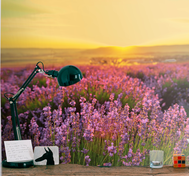 Flowers wall mural lavender meadow at dusk - TenStickers