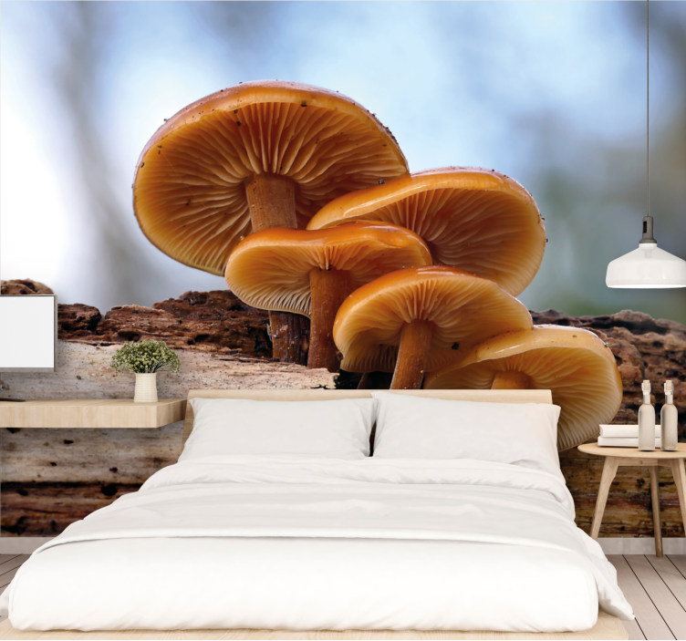 Flowers wall mural mushroom cluster design - TenStickers
