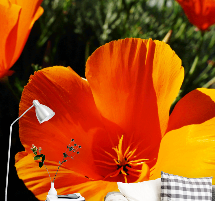 Flowers wall mural orange flower closeup - TenStickers