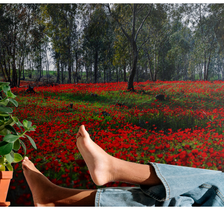 Flowers wall mural poppy field calm - TenStickers