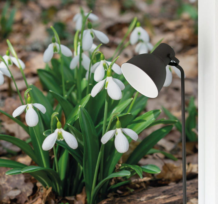 Flowers wall mural snowdrop flower arrangement - TenStickers