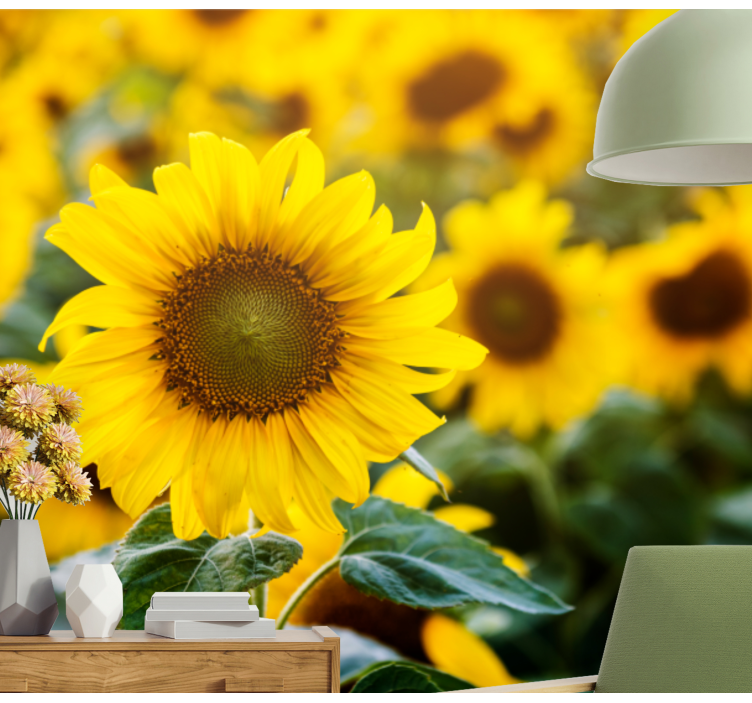 Flowers wall mural sunflower field blossom - TenStickers