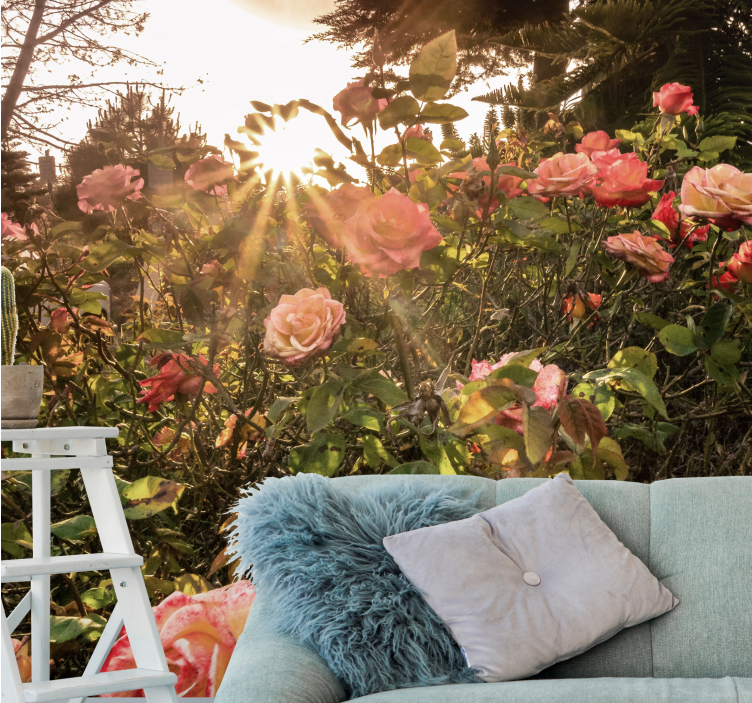 Flowers wall mural sunlit rose garden - TenStickers