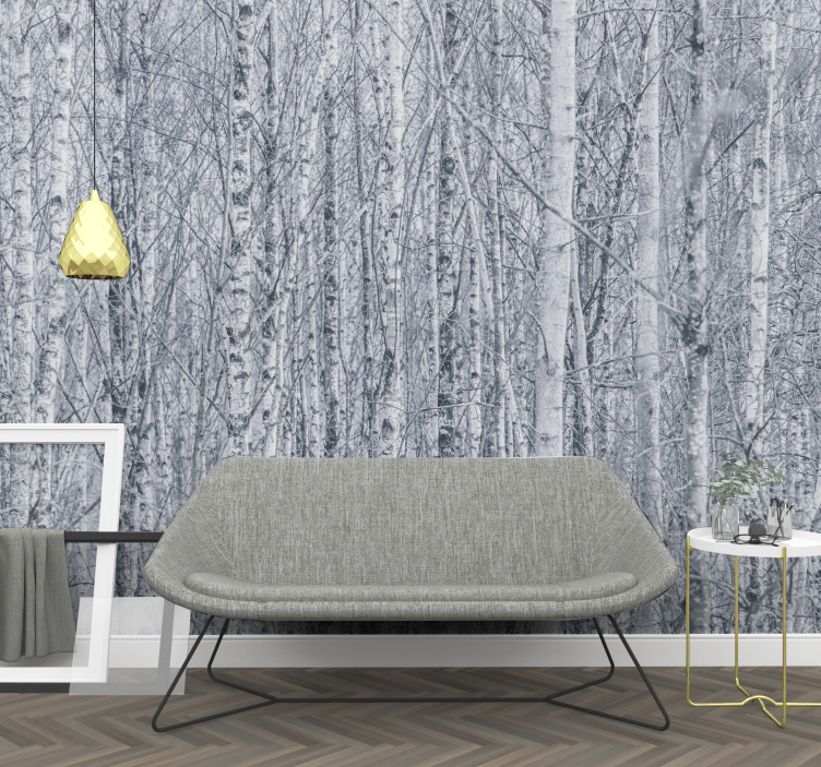 Forest wall mural birch grove wilderness - TenStickers