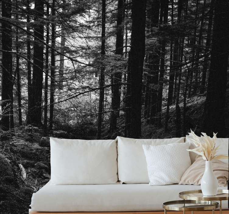 Forest wall mural dark forest scene - TenStickers