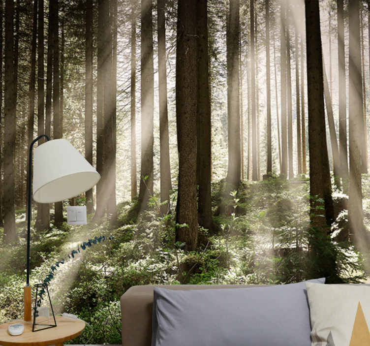 Forest wall mural luminous forest rays - TenStickers