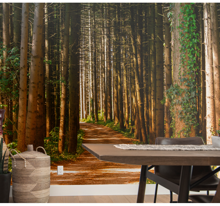 Forest wall mural magical woodland path - TenStickers