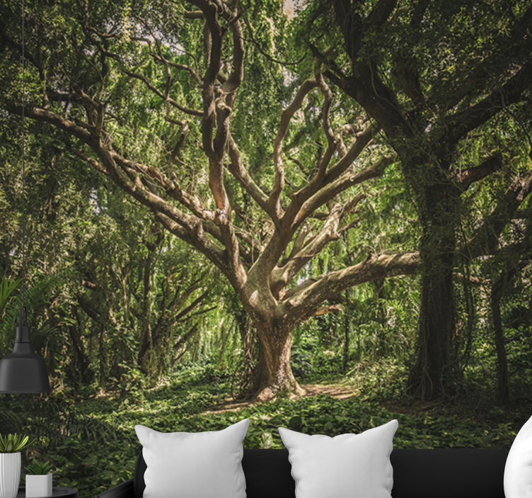 Forest wall mural majestic forest canopy - TenStickers