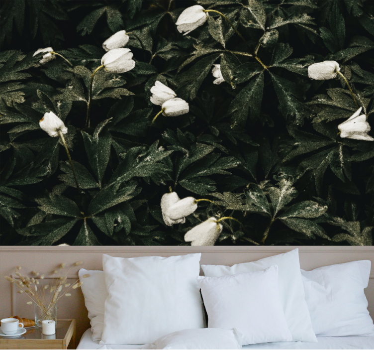 Gentle white flowers flowers wall mural - TenStickers