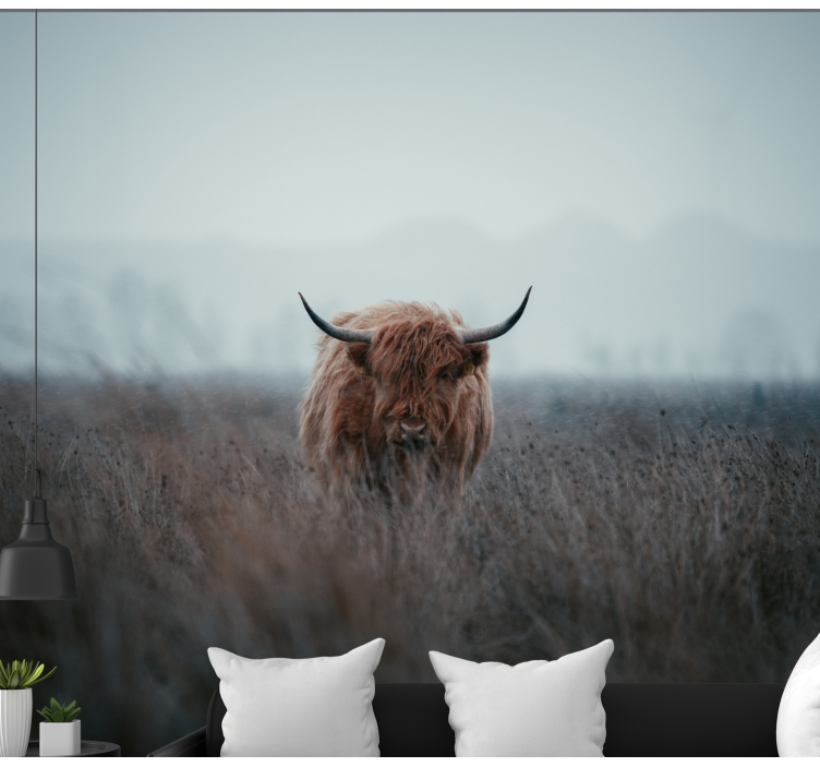 Highland brown cow nature wall mural - TenStickers